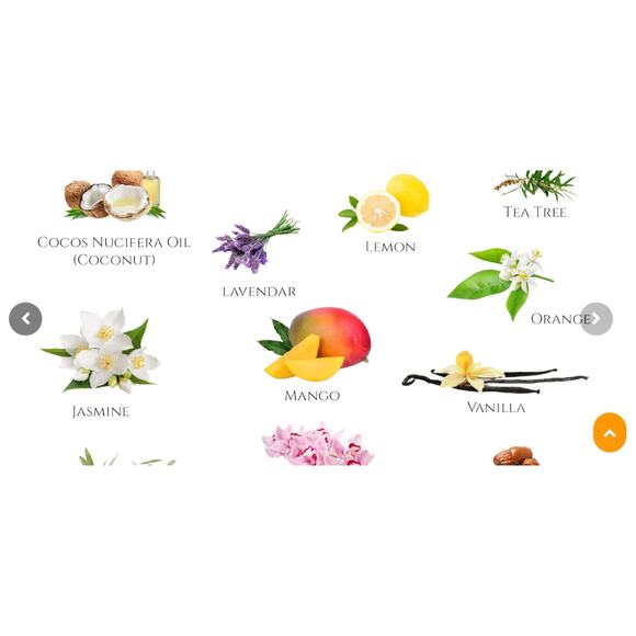 Prédiré Paris Bath Bomb Spa Celebration Luxury Holiday Collection NIB MSRP $75 - Picture 5 of 5